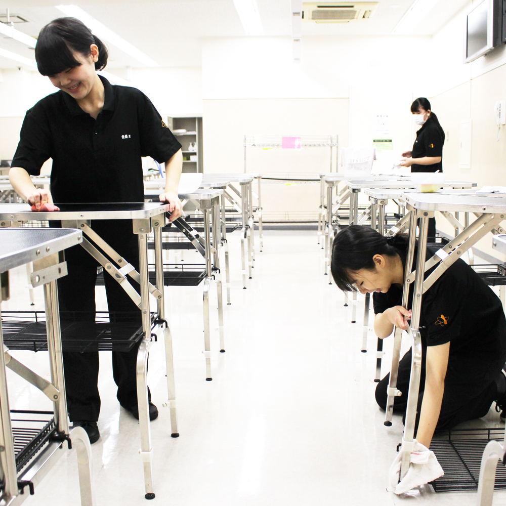 夏休み前に大掃除！